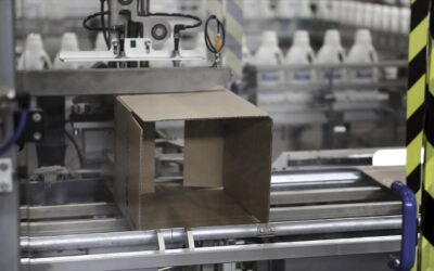 Bezpieczeństwo i ergonomia pracy przy nowoczesnych liniach pakujących