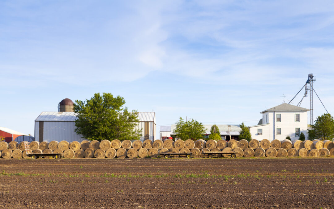 10 praktycznych sposobów na utrzymanie ładu w gospodarstwie rolnym przez cały rok